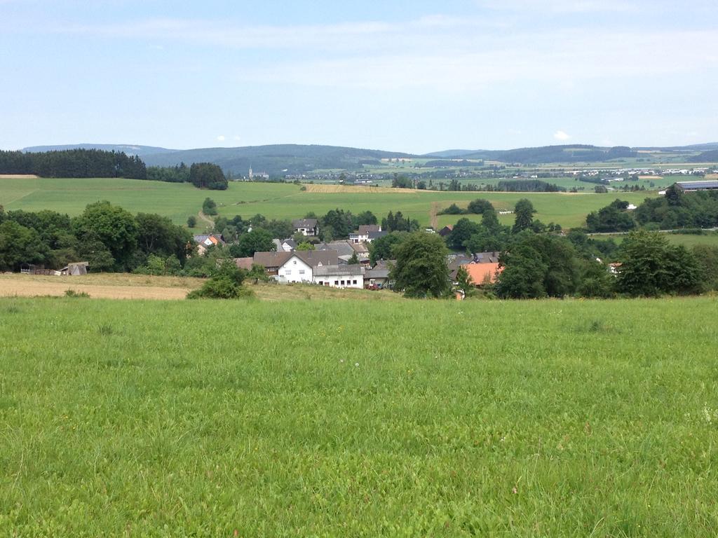 Haus Panoramablick Villa Medebach Exterior photo